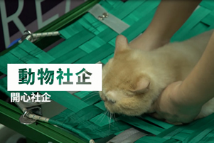 動物社企